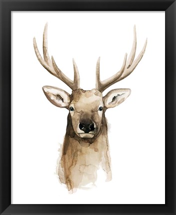 Framed Watercolor Elk Portrait II Print