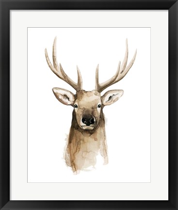 Framed Watercolor Elk Portrait II Print