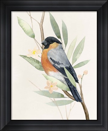 Framed Tree Toppers I Print