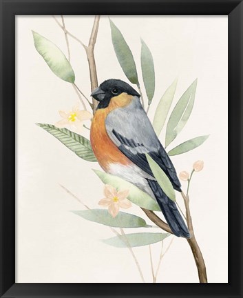 Framed Tree Toppers I Print