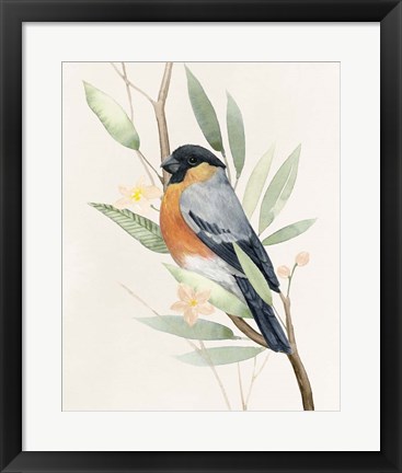 Framed Tree Toppers I Print