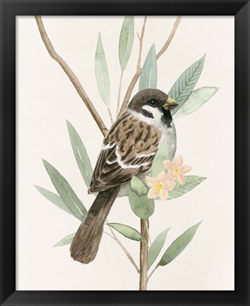 Framed Tree Toppers II Print