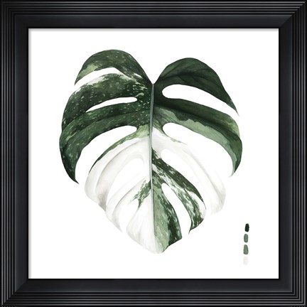 Framed Variegated Monstera I Print