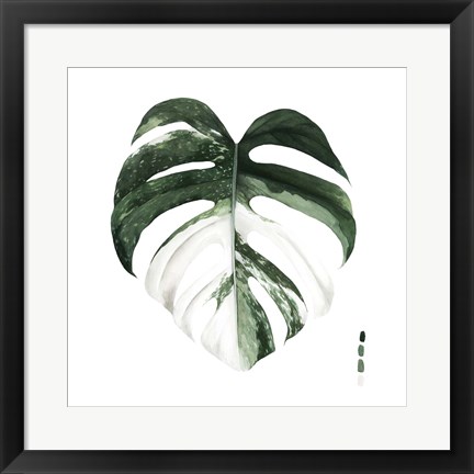 Framed Variegated Monstera I Print