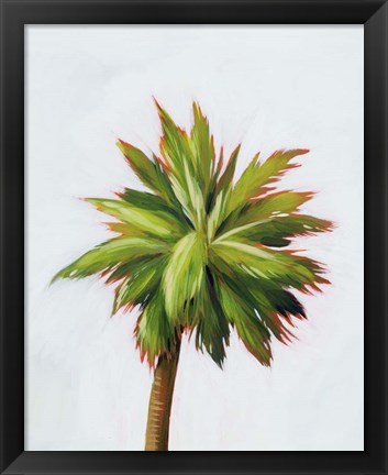 Framed Palm Glow II Print