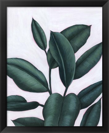 Framed Verdant Ficus I Print