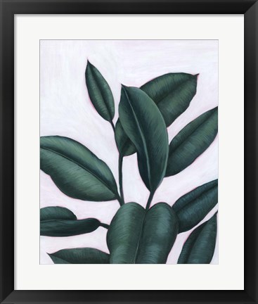Framed Verdant Ficus I Print