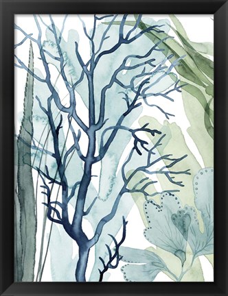 Framed Sea Leaves I Print