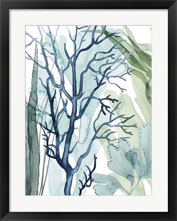 Framed Sea Leaves I Print