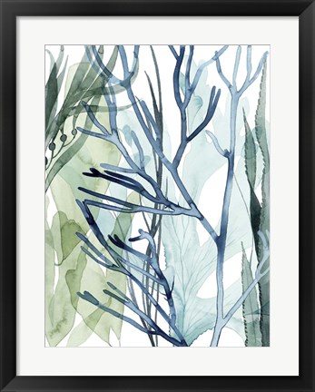 Framed Sea Leaves II Print