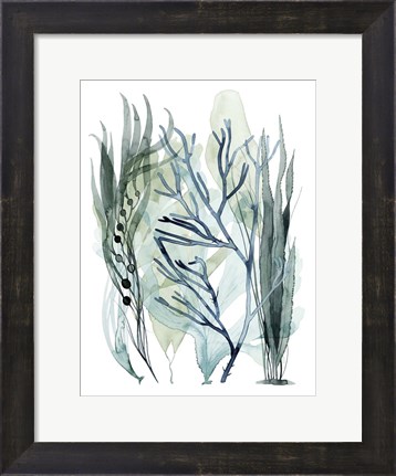 Framed Sea Leaves III Print