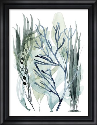 Framed Sea Leaves III Print