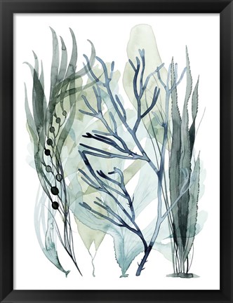 Framed Sea Leaves III Print