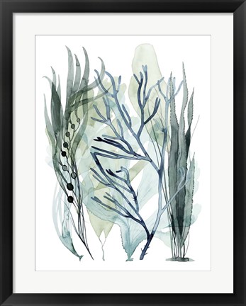 Framed Sea Leaves III Print