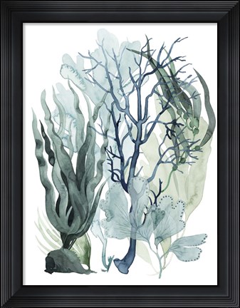 Framed Sea Leaves IV Print