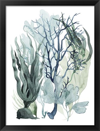 Framed Sea Leaves IV Print