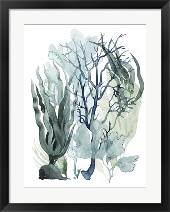 Framed Sea Leaves IV Print
