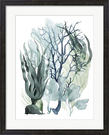 Framed Sea Leaves IV Print
