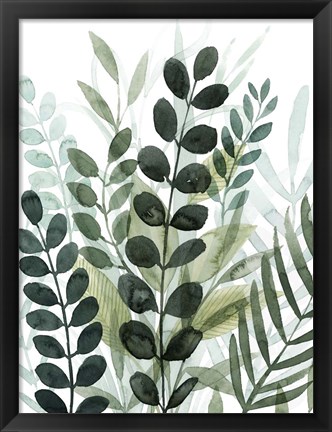 Framed Forest Forage II Print