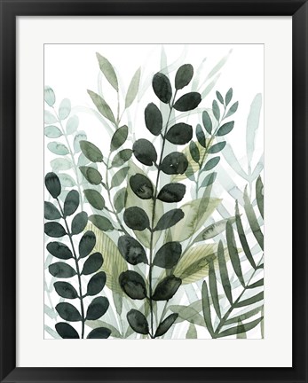 Framed Forest Forage II Print