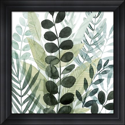 Framed Forest Forage III Print