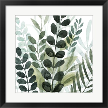 Framed Forest Forage IV Print