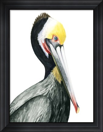 Framed Watercolor Pelican I Print