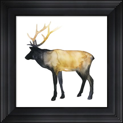 Framed Elk Aglow I Print