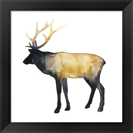 Framed Elk Aglow I Print