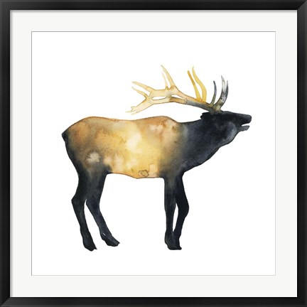 Framed Elk Aglow II Print