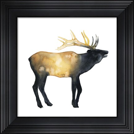 Framed Elk Aglow II Print