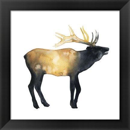 Framed Elk Aglow II Print