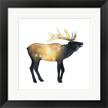 Framed Elk Aglow II Print