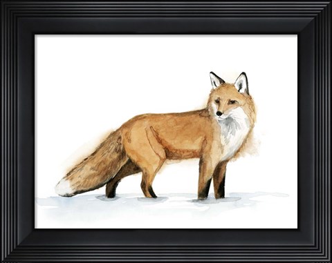 Framed Snow Fox I Print