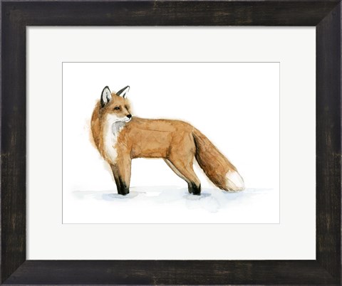 Framed Snow Fox II Print