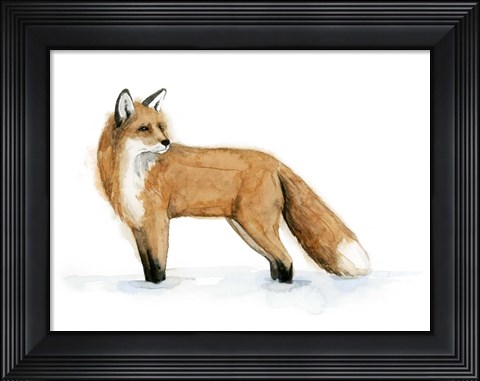 Framed Snow Fox II Print