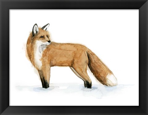 Framed Snow Fox II Print