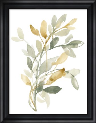 Framed Sage &amp; Sienna Leaves II Print
