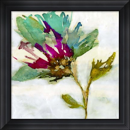Framed Fuchsia Splash II Print