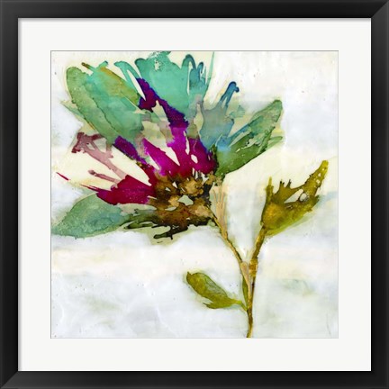 Framed Fuchsia Splash II Print