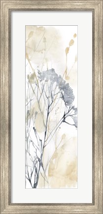Framed Wildflower Line Contour II Print