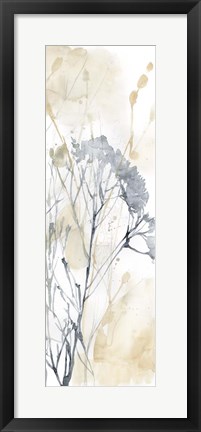 Framed Wildflower Line Contour II Print