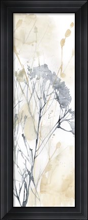 Framed Wildflower Line Contour II Print