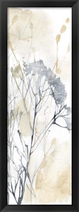 Framed Wildflower Line Contour II Print