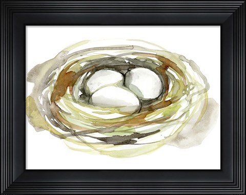 Framed Watercolor Nest I Print
