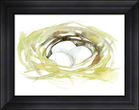 Framed Watercolor Nest II Print