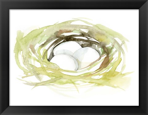 Framed Watercolor Nest II Print