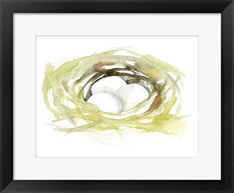 Framed Watercolor Nest II Print