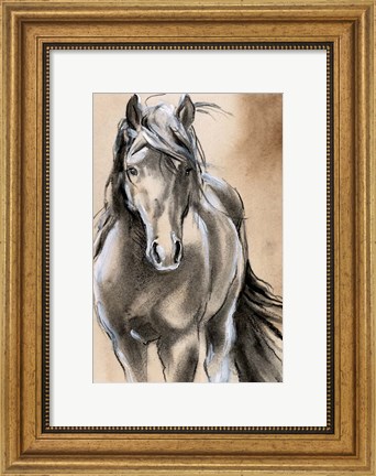 Framed Sketched Horse II Print