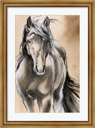 Framed Sketched Horse II Print
